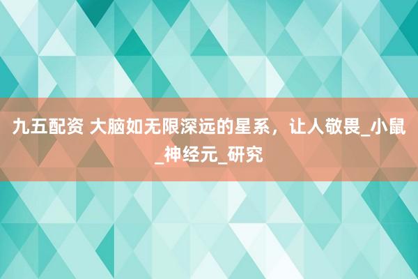 九五配资 大脑如无限深远的星系，让人敬畏_小鼠_神经元_研究