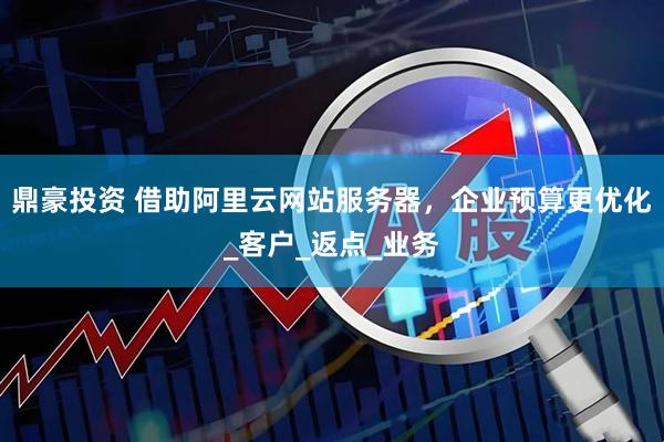 鼎豪投资 借助阿里云网站服务器，企业预算更优化_客户_返点_业务